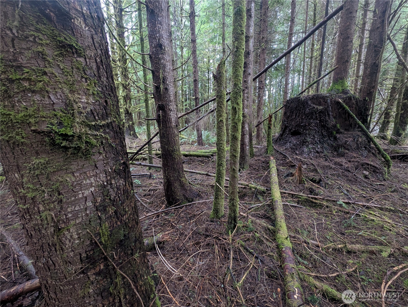 9991 Quillayute Road , Forks, WA 98331