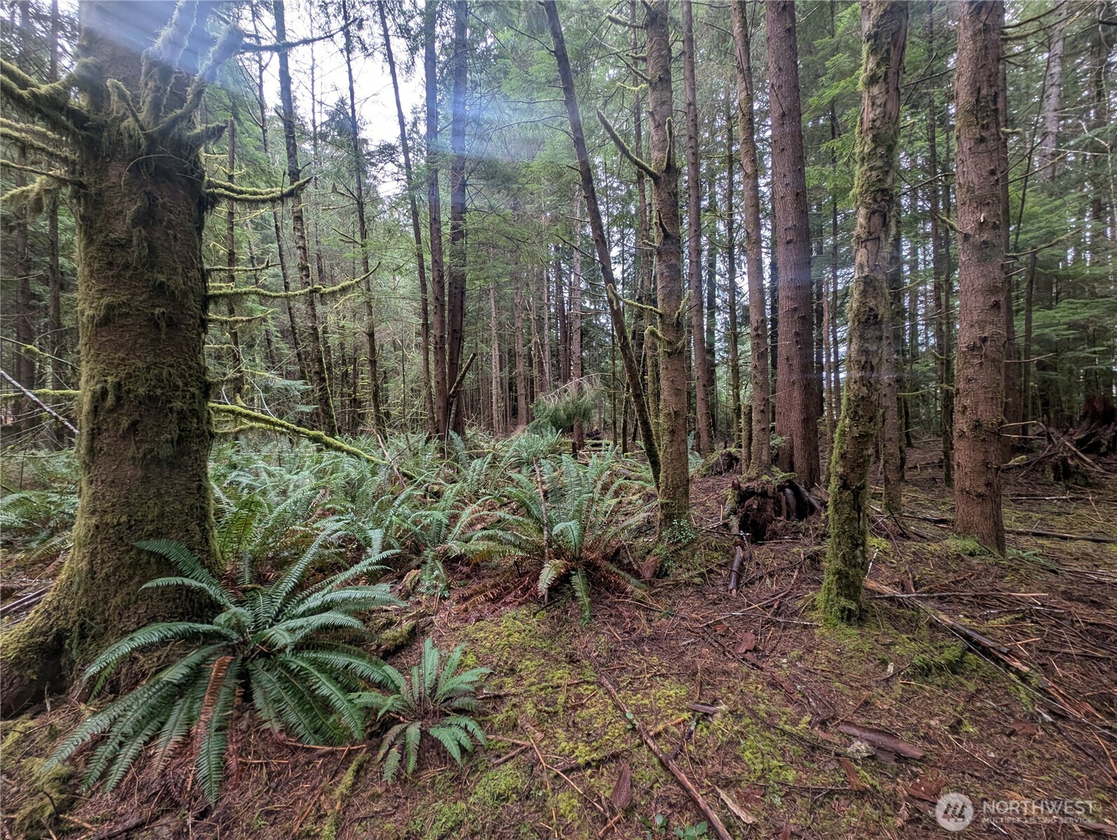 9991 Quillayute Road , Forks, WA 98331