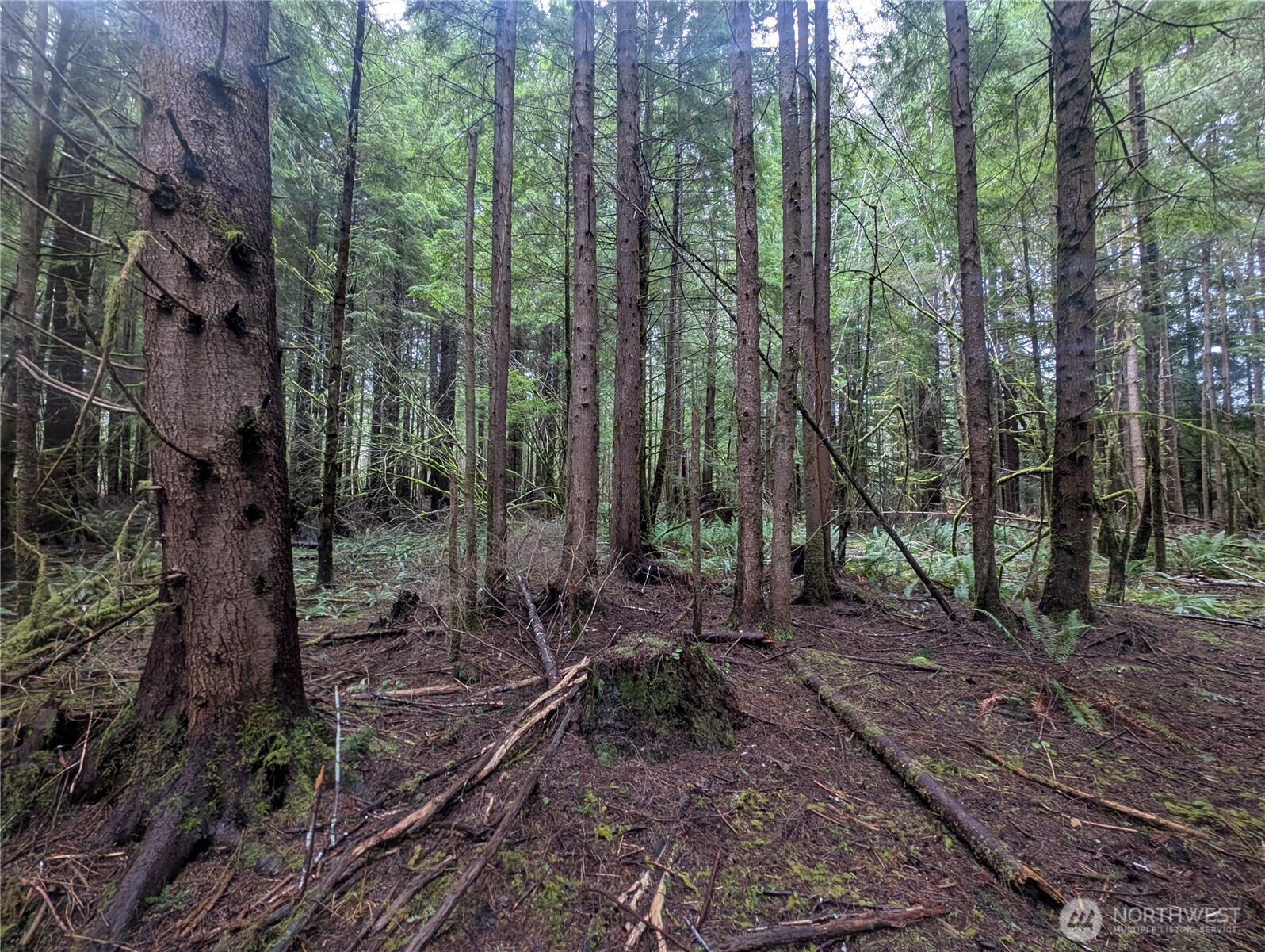 9991 Quillayute Road , Forks, WA 98331