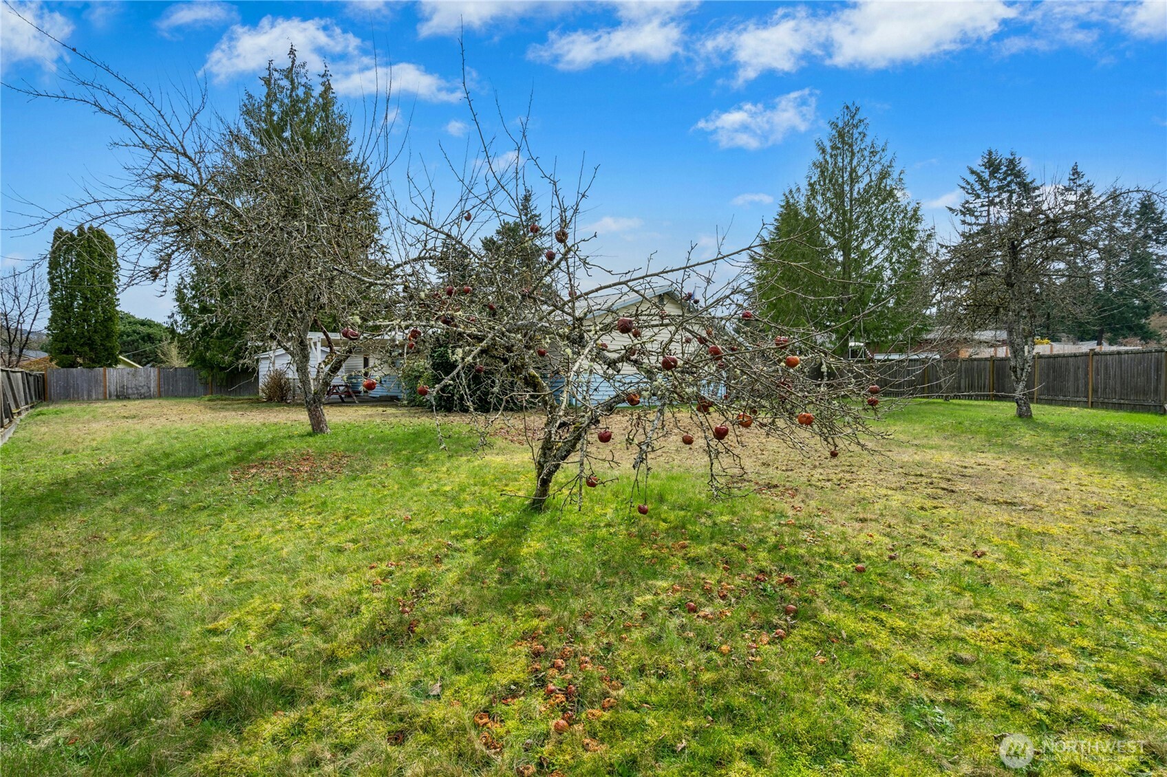 12502 SE 73rd Place , Newcastle, WA 98056