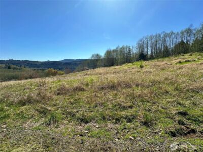 0 Elk Ridge Road , Mossyrock, WA 98564 - Photo 12