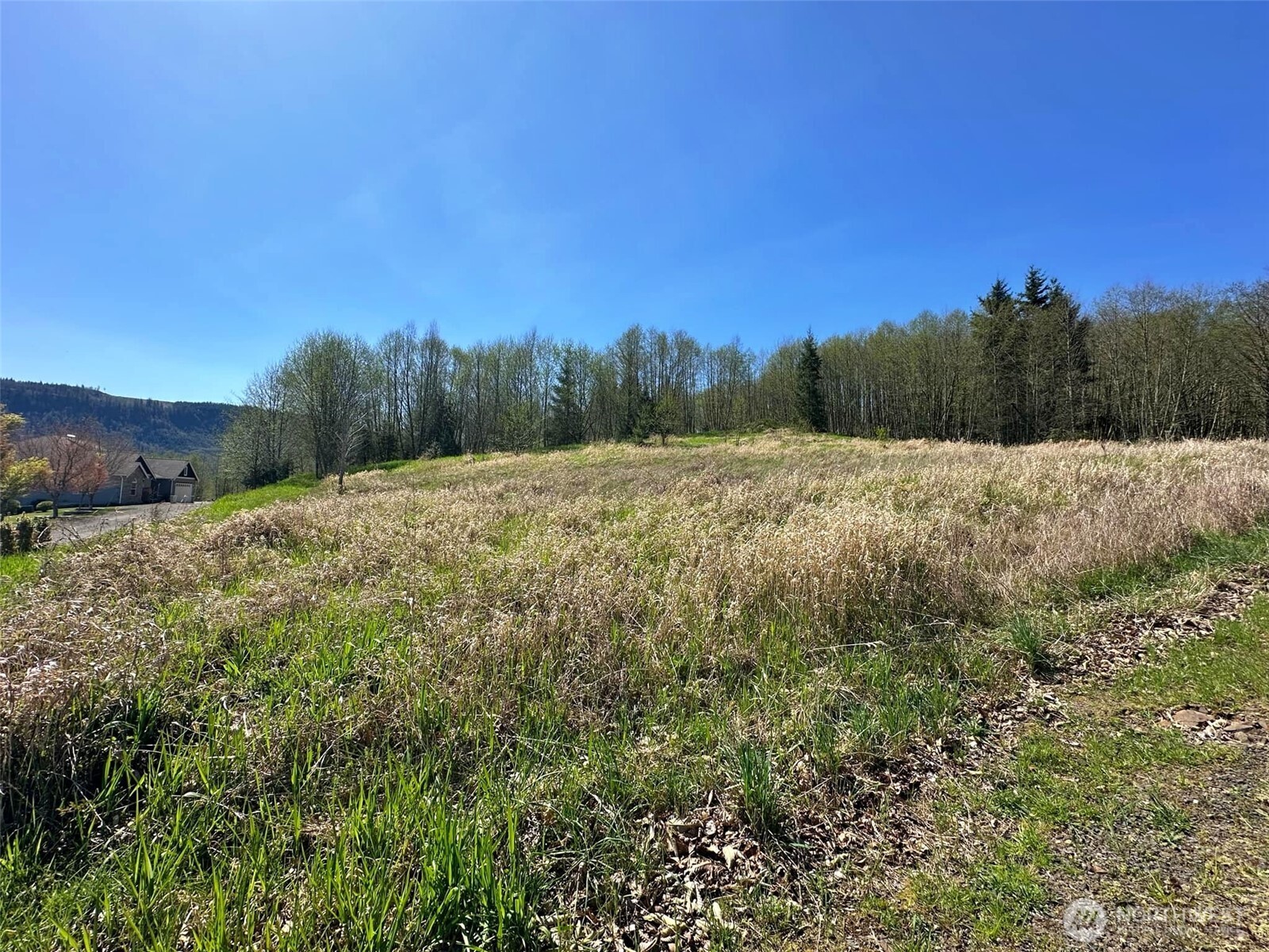 0 Elk Ridge Road , Mossyrock, WA 98564