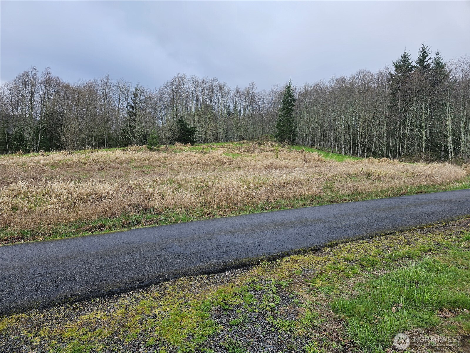 0 Elk Ridge Road , Mossyrock, WA 98564