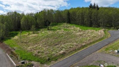 0 Elk Ridge Road , Mossyrock, WA 98564 - Photo 3