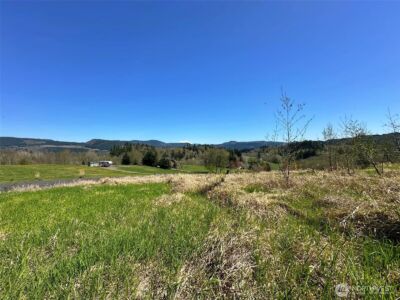 0 Elk Ridge Road , Mossyrock, WA 98564 - Photo 9