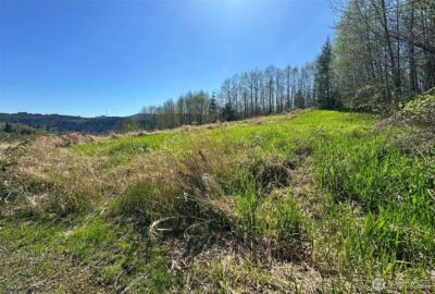 0 Elk Ridge Road , Mossyrock, WA 98564 - Photo 10