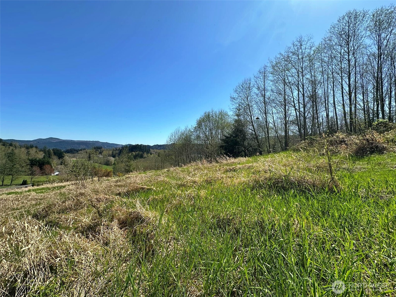 0 Elk Ridge Road , Mossyrock, WA 98564