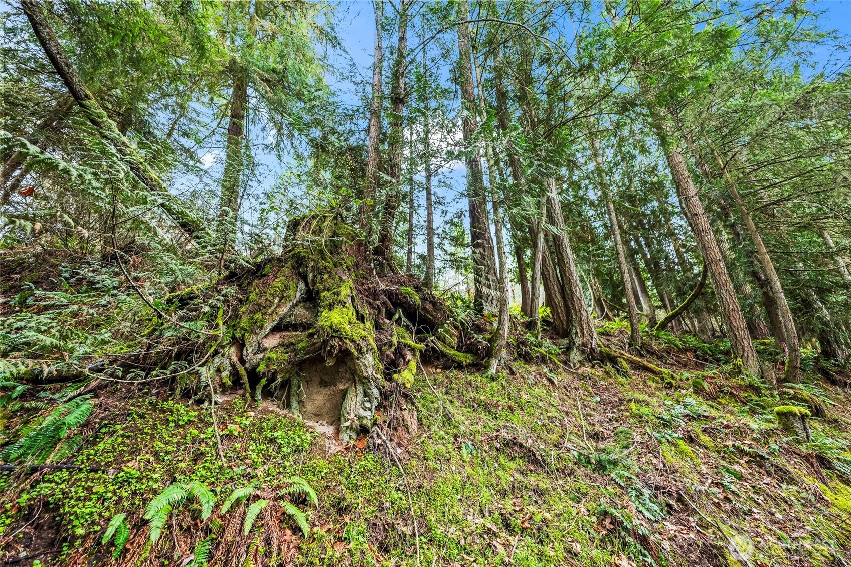 123 Highland Drive E, Roy, WA 98580