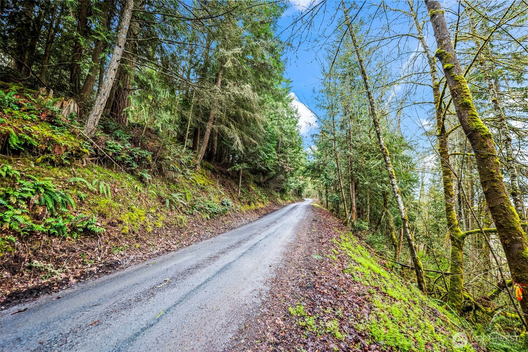 123 Highland Drive E, Roy, WA 98580