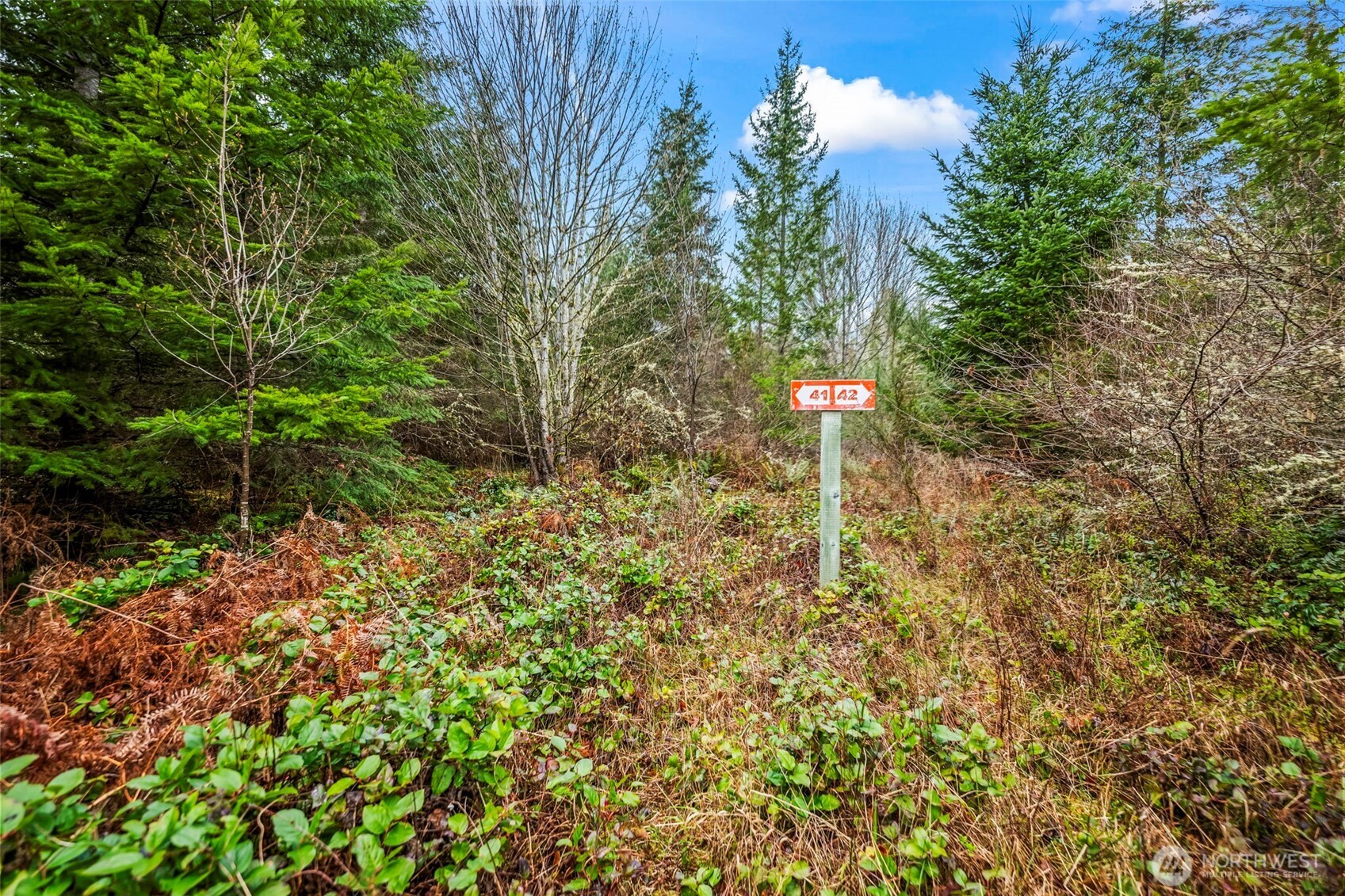 123 Highland Drive E, Roy, WA 98580
