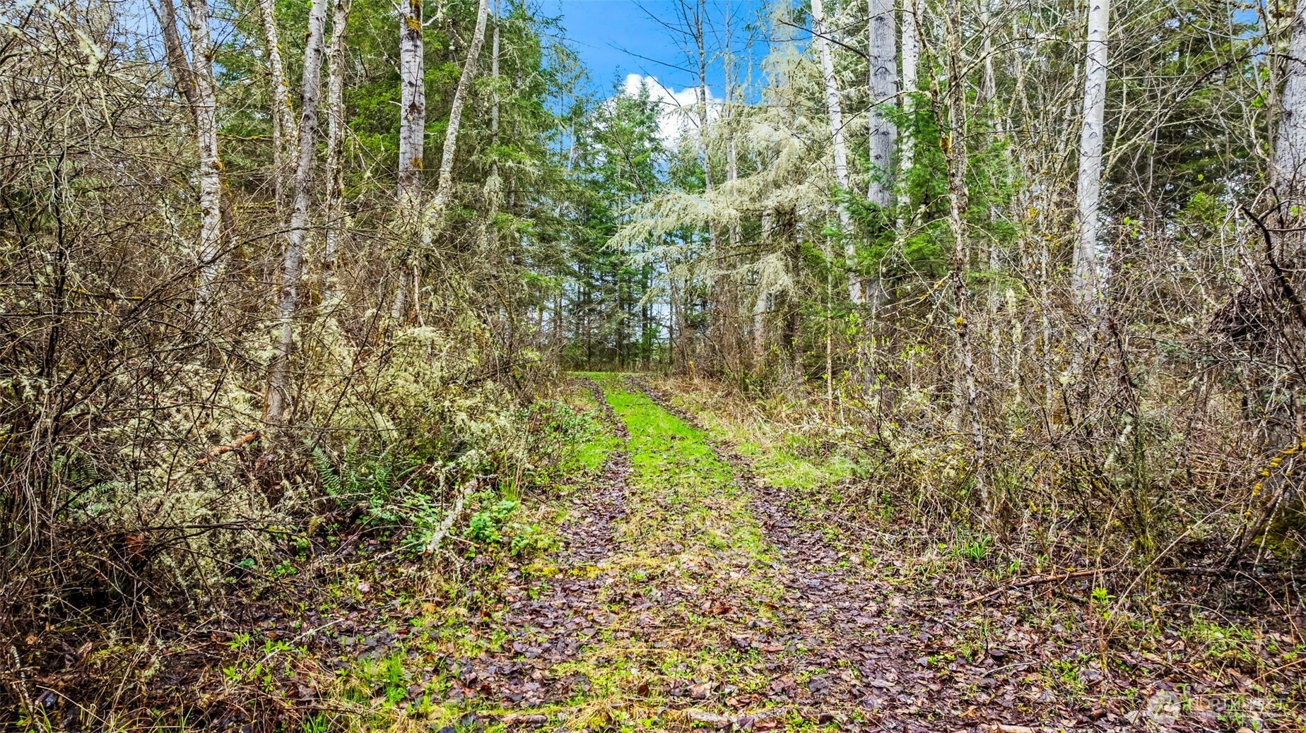 123 Highland Drive E, Roy, WA 98580