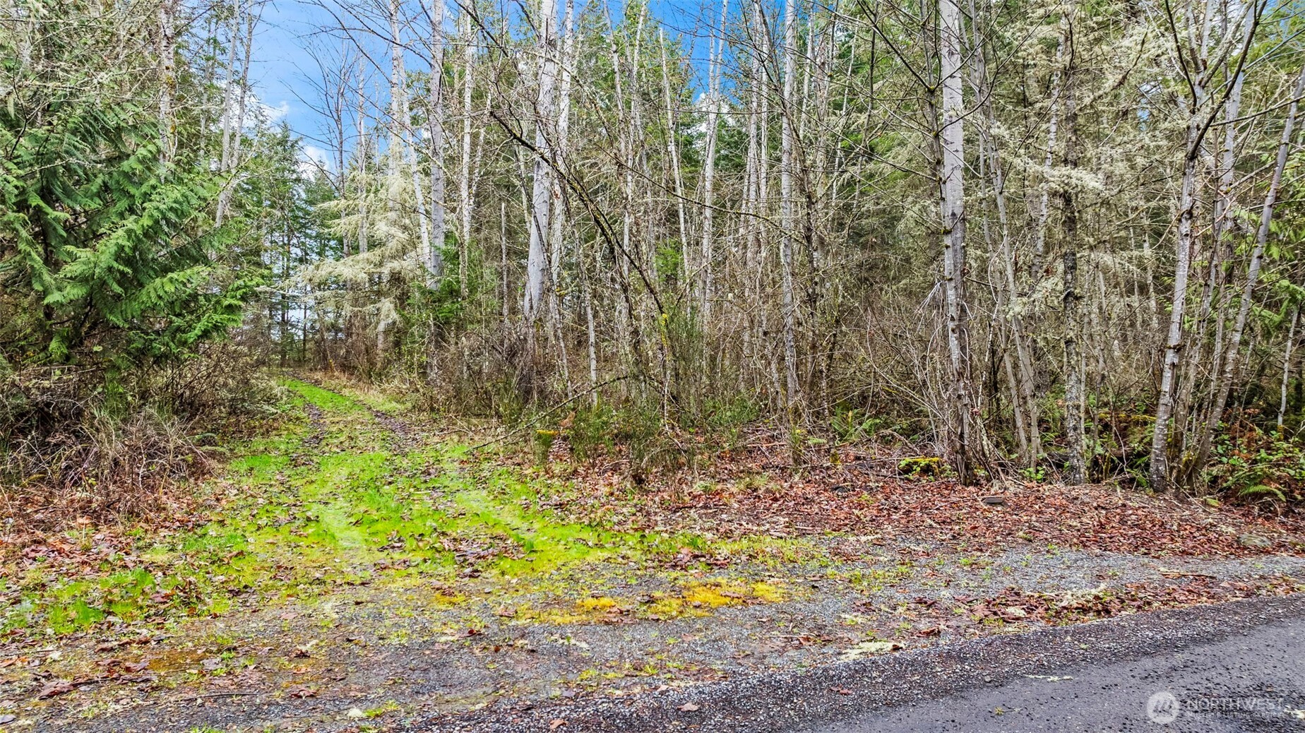 123 Highland Drive E, Roy, WA 98580