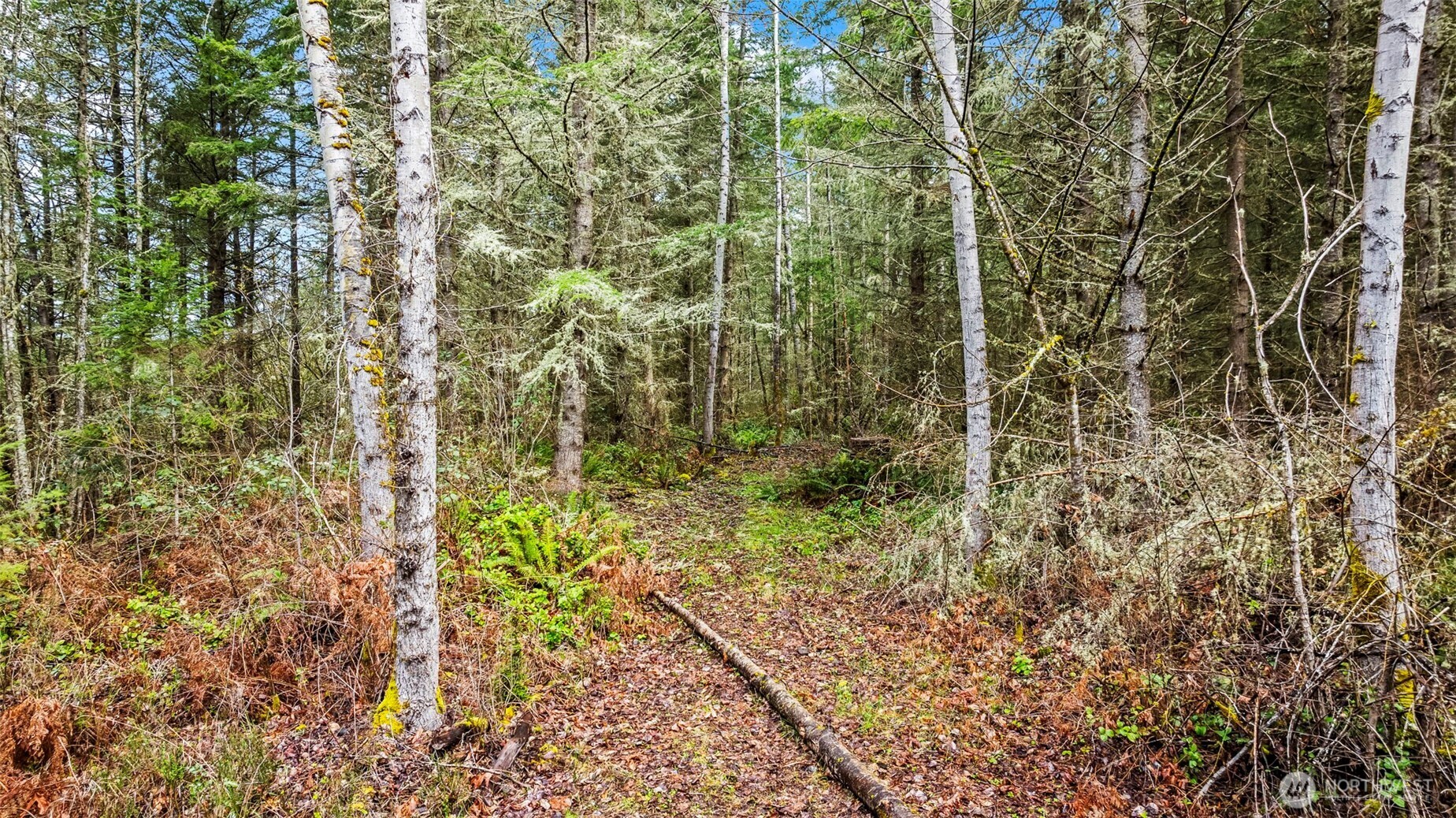 123 Highland Drive E, Roy, WA 98580