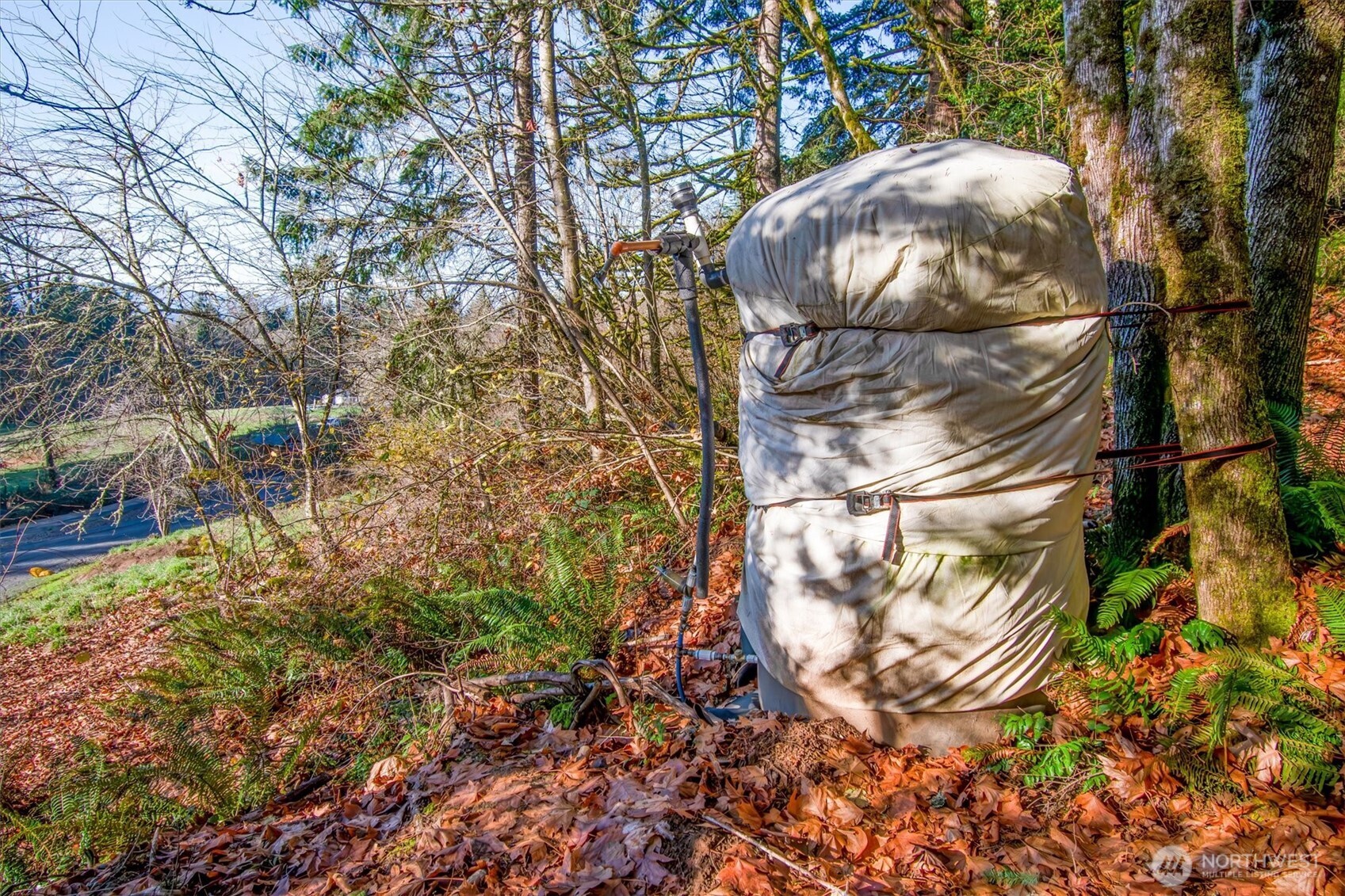 110 Lenora Lane , Kelso, WA 98626