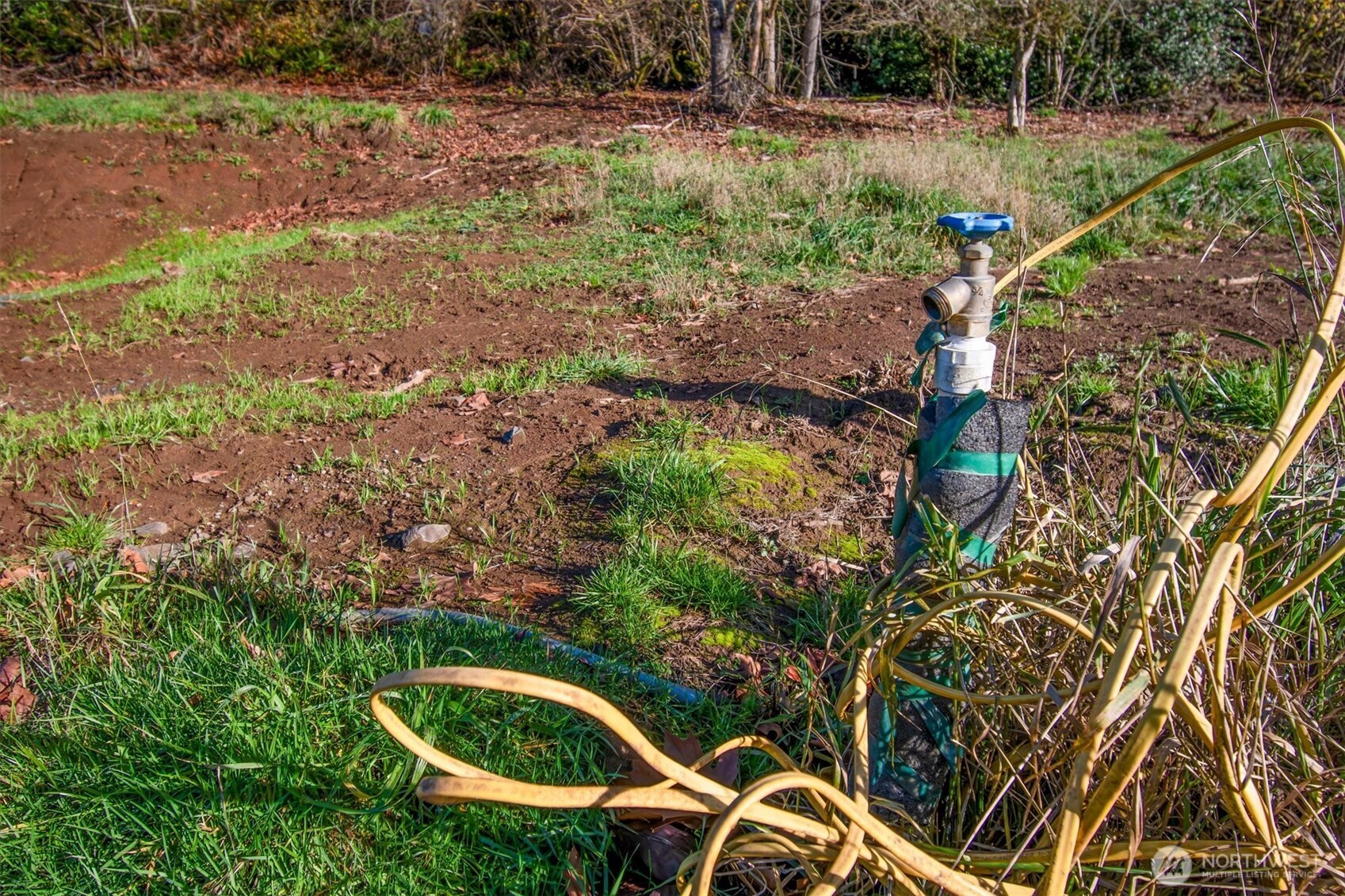 110 Lenora Lane , Kelso, WA 98626