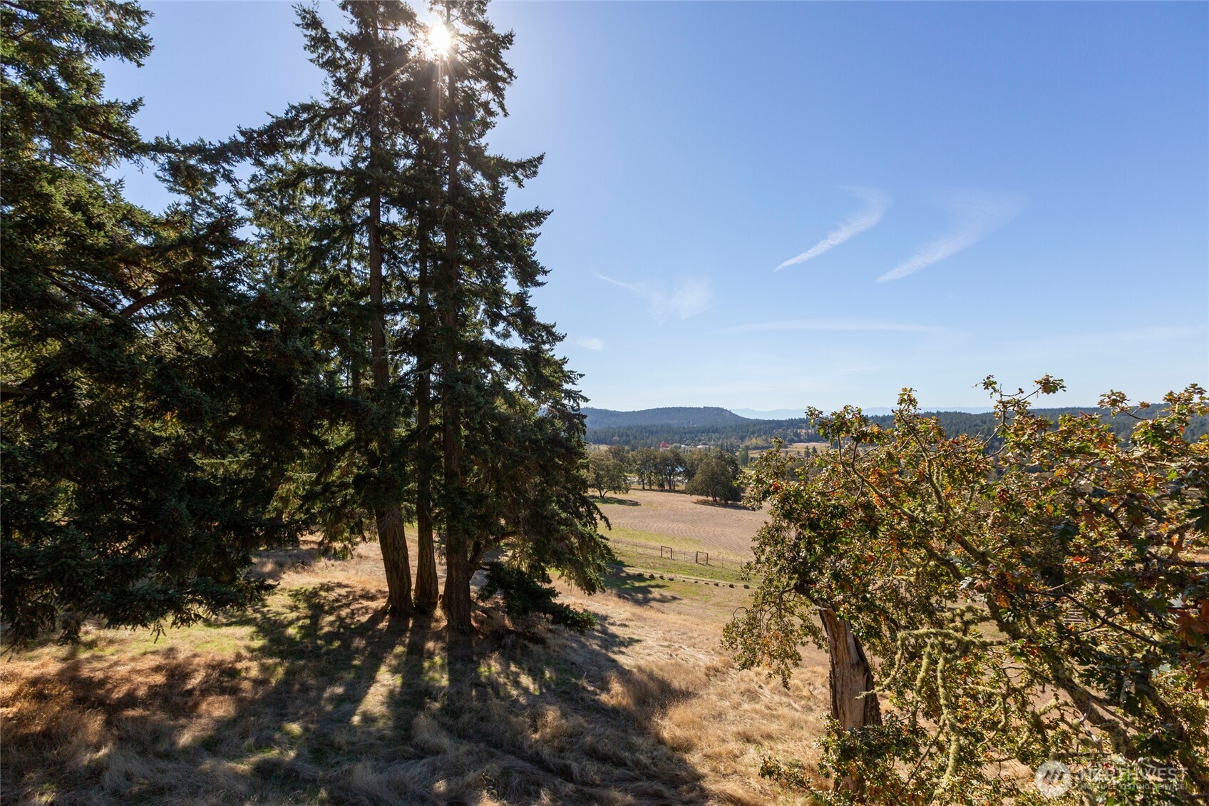 327 Twin Oaks Drive , Friday Harbor, WA 98250