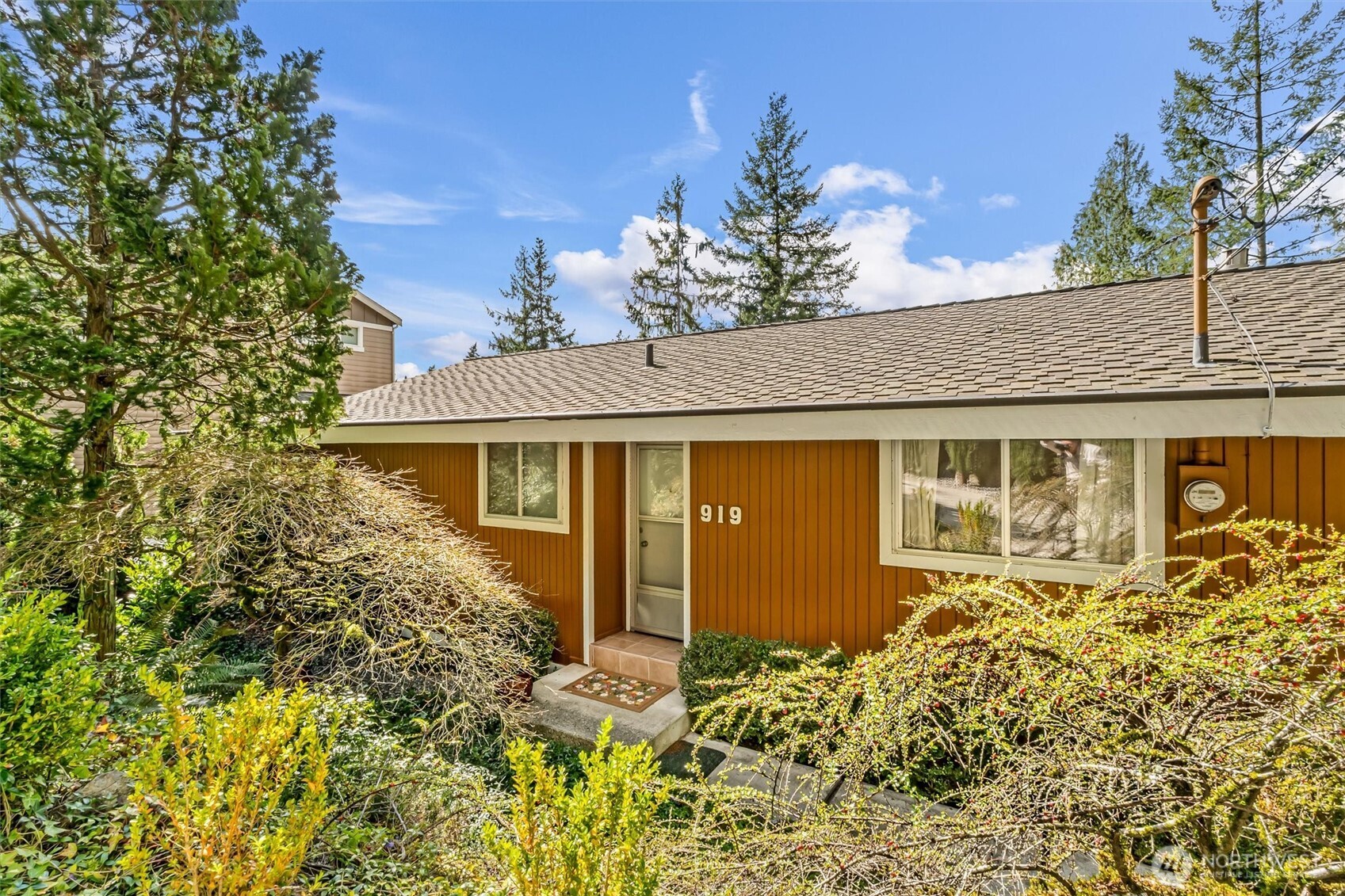 919 207th Avenue NE, Sammamish, WA 98074