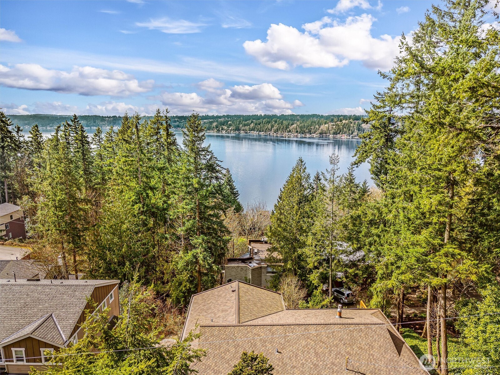 919 207th Avenue NE, Sammamish, WA 98074