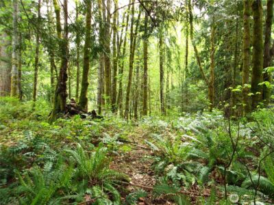 0 River Road , Brinnon, WA 98320