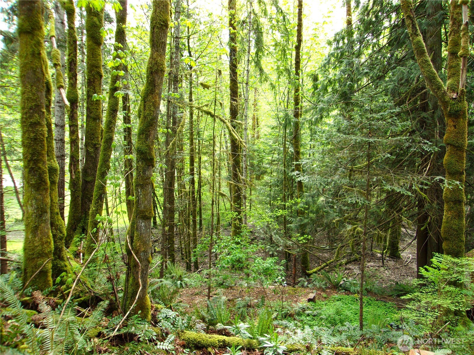 0 River Road , Brinnon, WA 98320