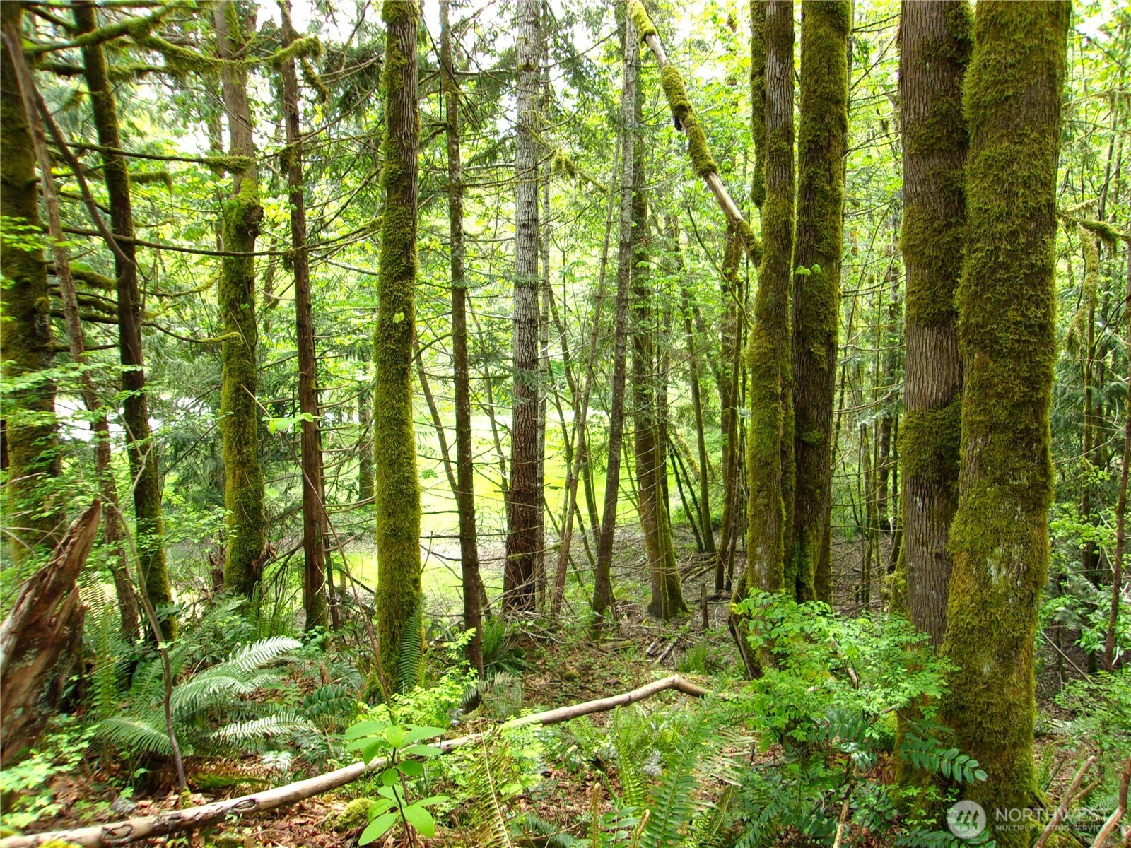 0 River Road , Brinnon, WA 98320