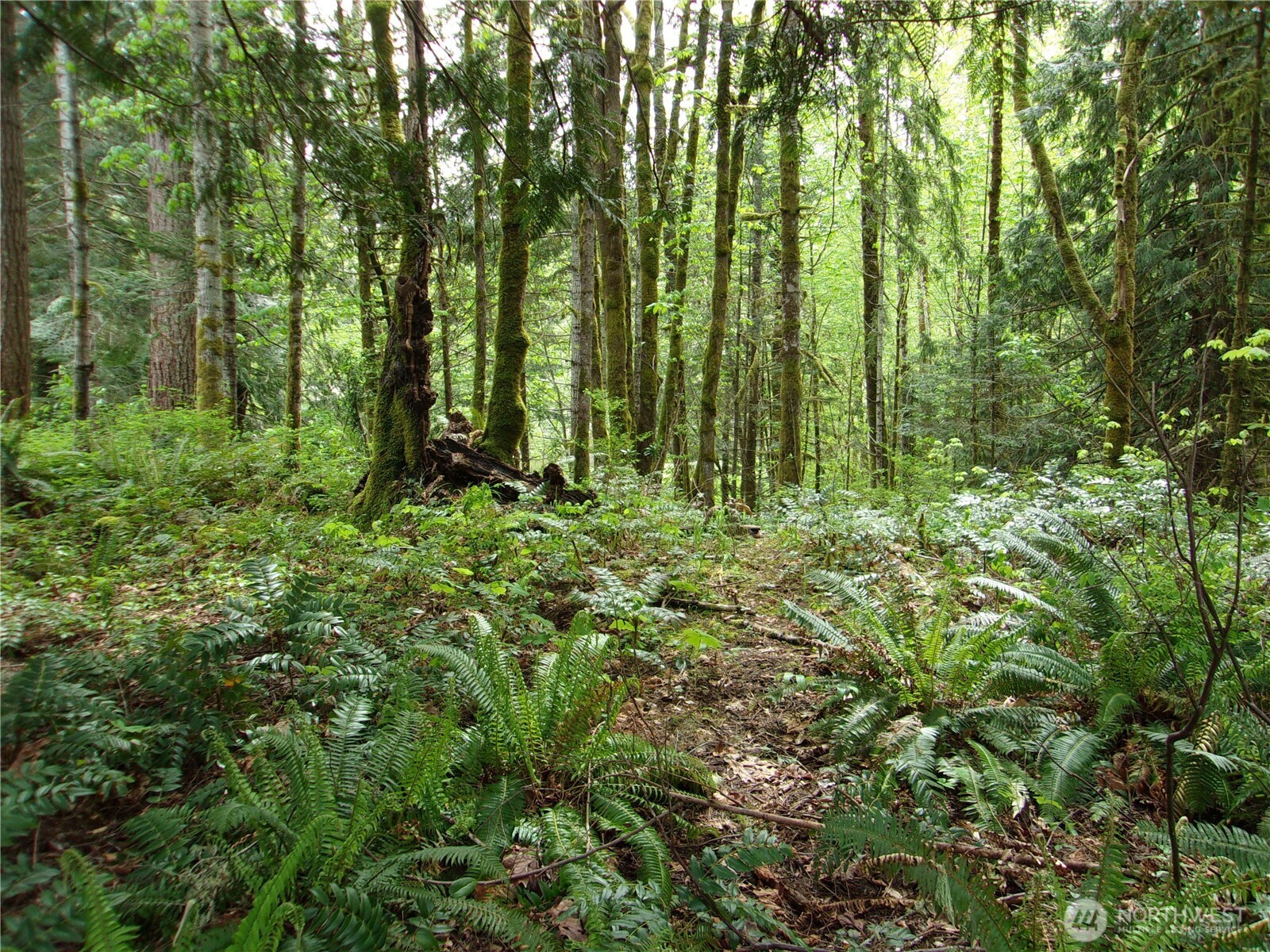 0 River Road , Brinnon, WA 98320