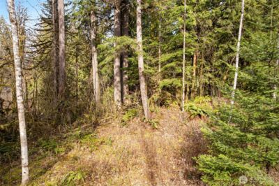 10211 Mt Baker Hwy , Deming, WA 98244 - Photo 11