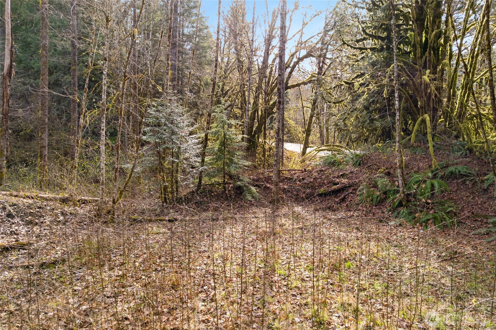 10211 Mt Baker Hwy , Deming, WA 98244