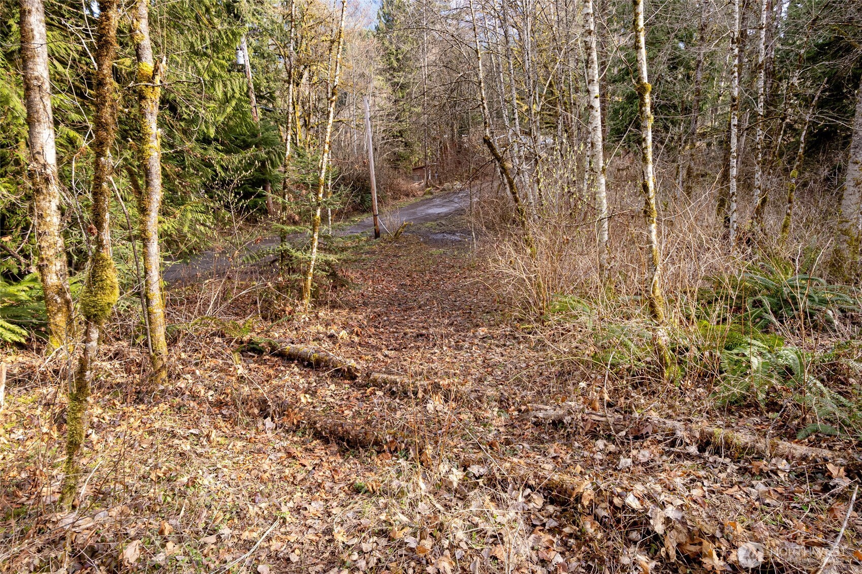 10211 Mt Baker Hwy , Deming, WA 98244