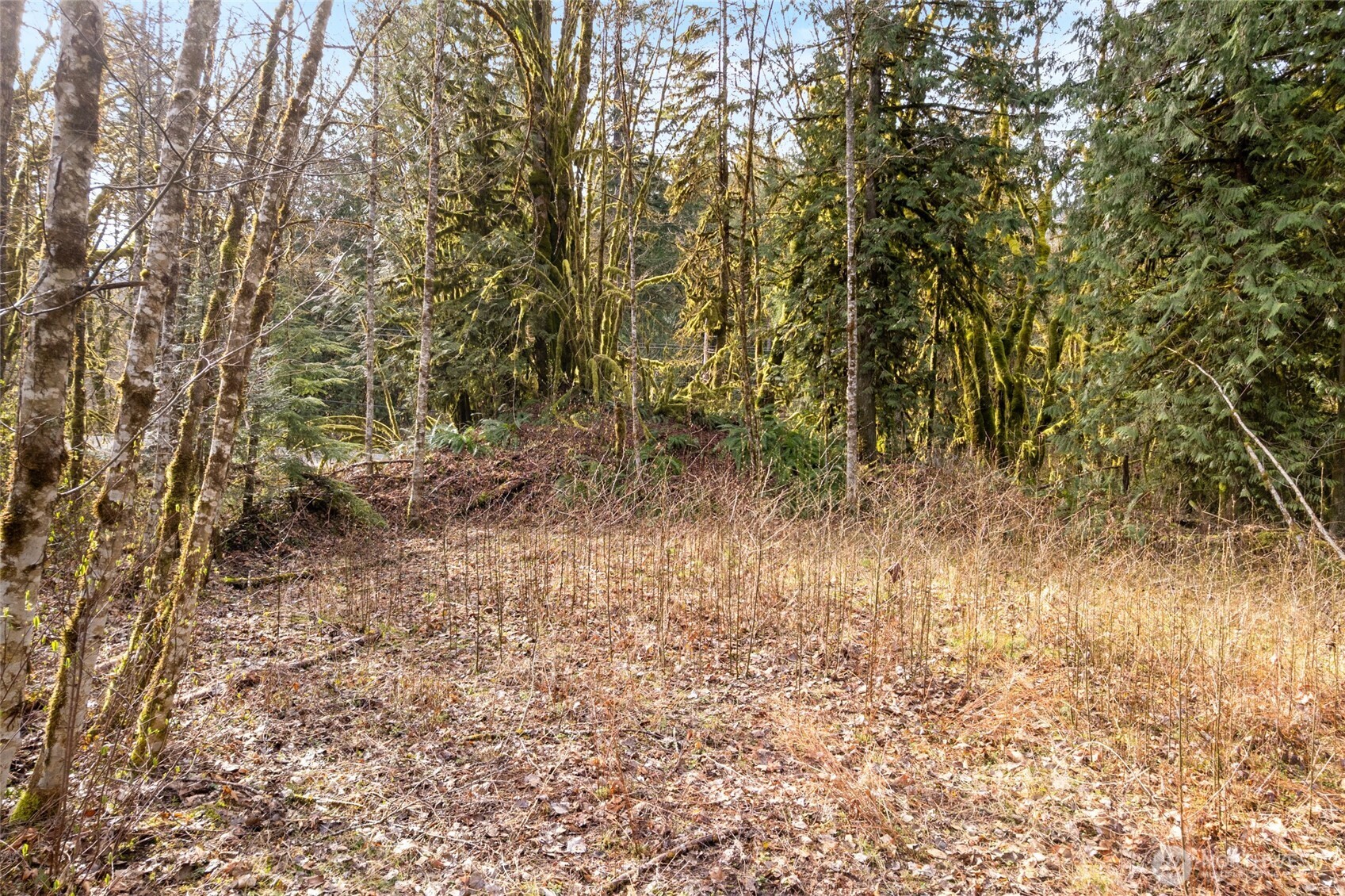 10211 Mt Baker Hwy , Deming, WA 98244