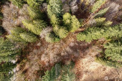 10211 Mt Baker Hwy , Deming, WA 98244 - Photo 17