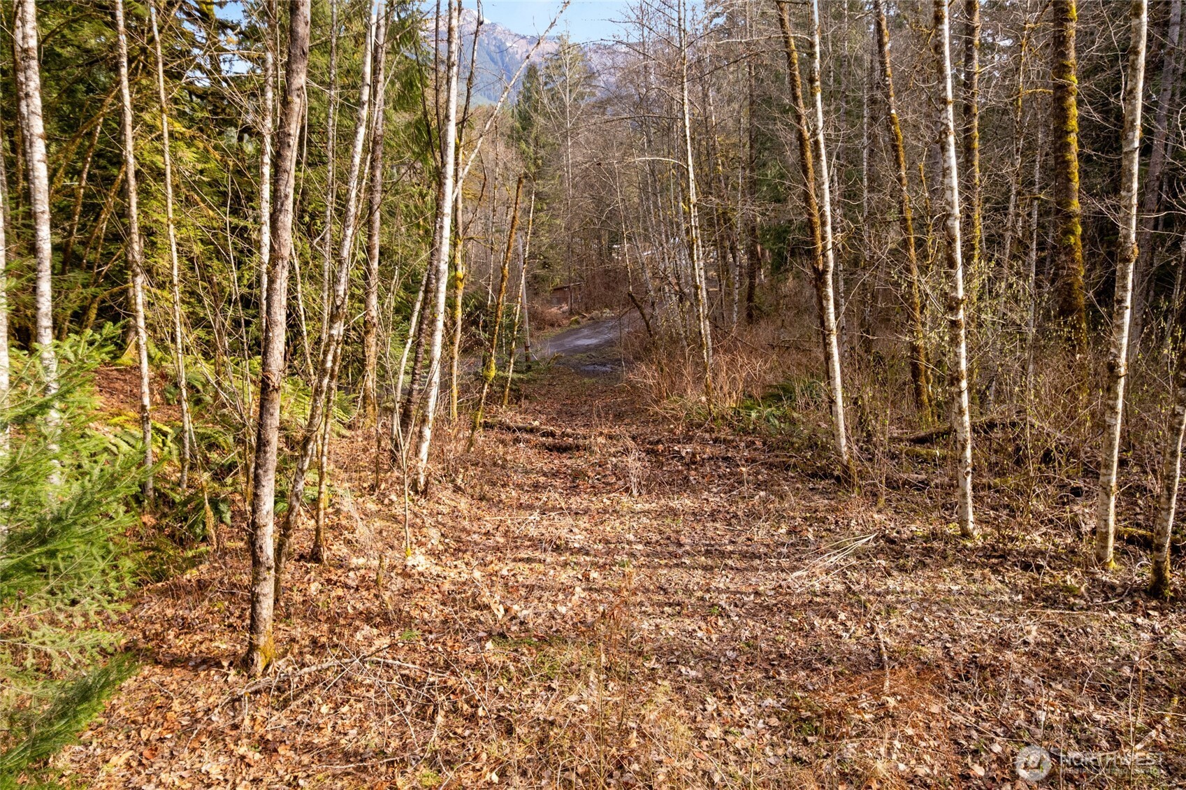 10211 Mt Baker Hwy , Deming, WA 98244