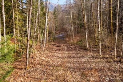 10211 Mt Baker Hwy , Deming, WA 98244 - Photo 10