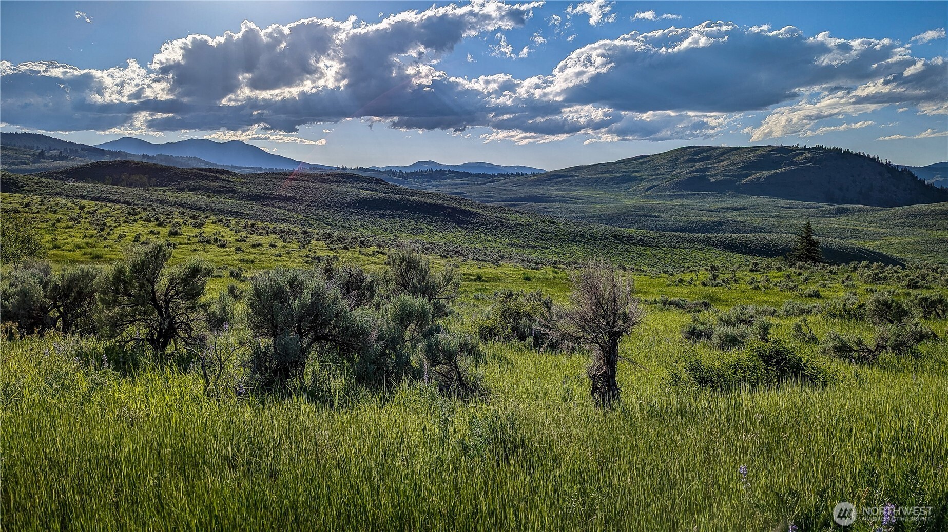 0 NKA Ellemeham Mountain Road , Oroville, WA 98844