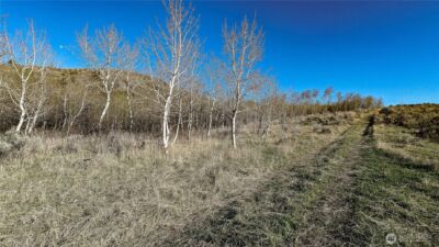 0 NKA Ellemeham Mountain Road , Oroville, WA 98844 - Photo 23