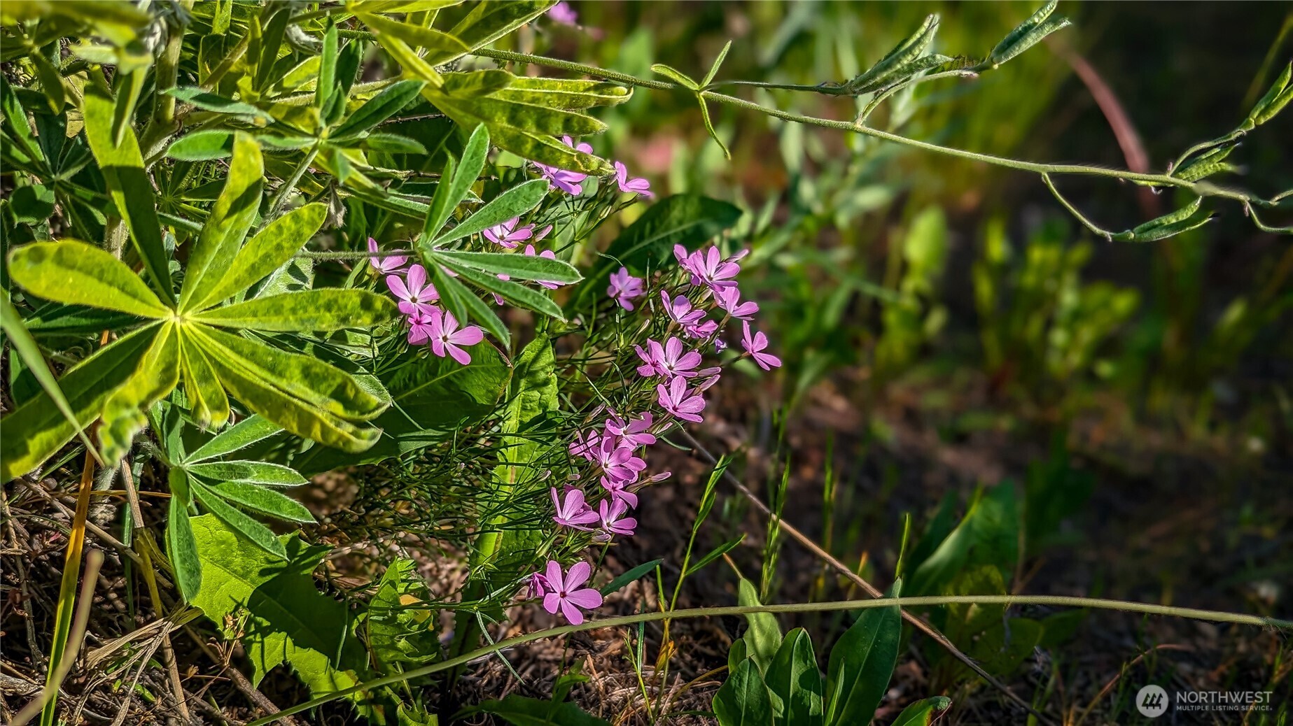 0 NKA Ellemeham Mountain Road , Oroville, WA 98844