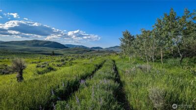 0 NKA Ellemeham Mountain Road , Oroville, WA 98844 - Photo 4