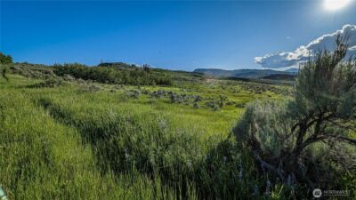 0 NKA Ellemeham Mountain Road , Oroville, WA 98844 - Photo 5