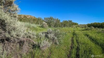 0 NKA Ellemeham Mountain Road , Oroville, WA 98844 - Photo 6
