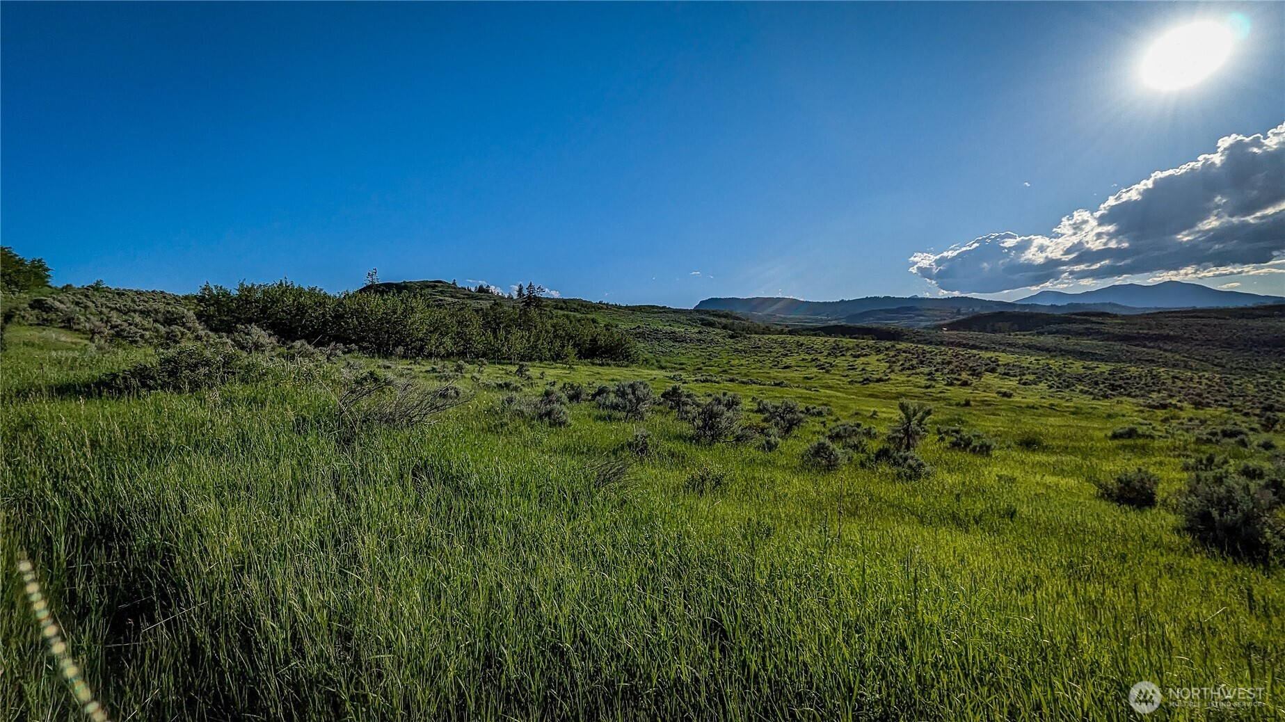 0 NKA Ellemeham Mountain Road , Oroville, WA 98844