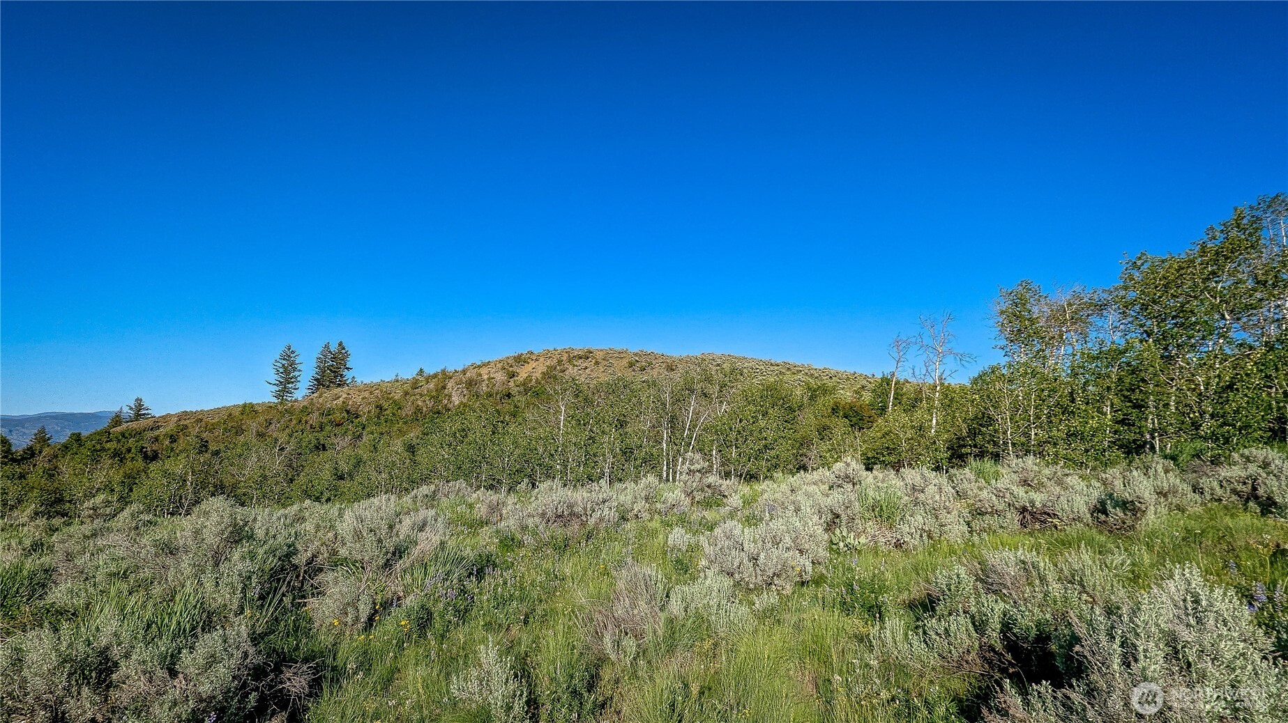 0 NKA Ellemeham Mountain Road , Oroville, WA 98844