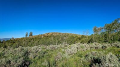 0 NKA Ellemeham Mountain Road , Oroville, WA 98844 - Photo 8