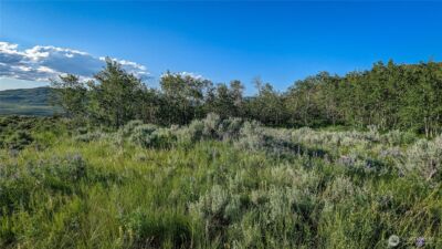 0 NKA Ellemeham Mountain Road , Oroville, WA 98844 - Photo 10