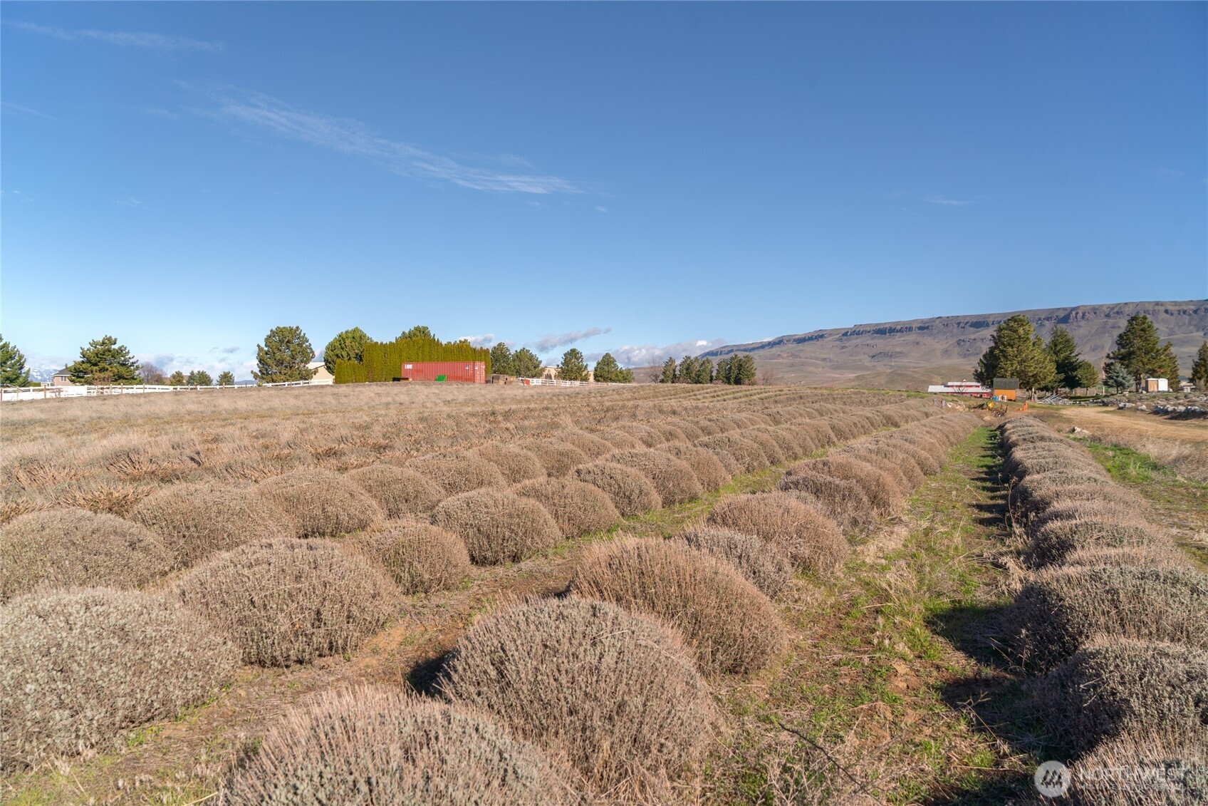 980 S Webb Place , East Wenatchee, WA 98802