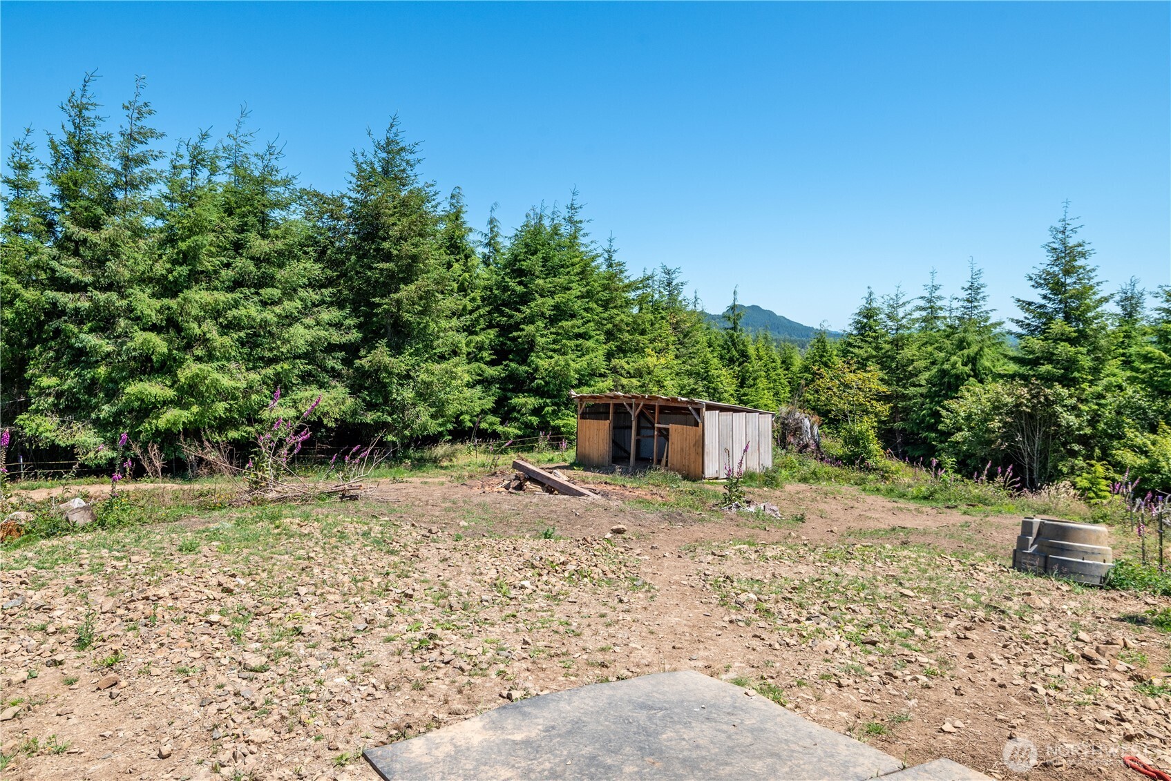 327 Parpala Road , Naselle, WA 98638