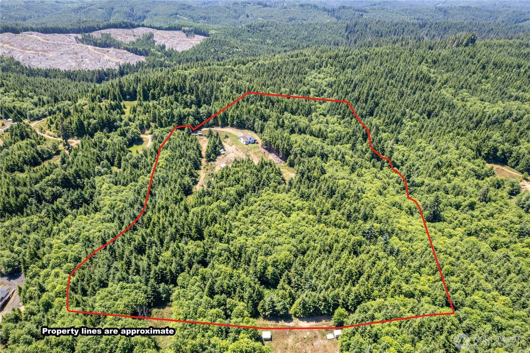 327 Parpala Road , Naselle, WA 98638