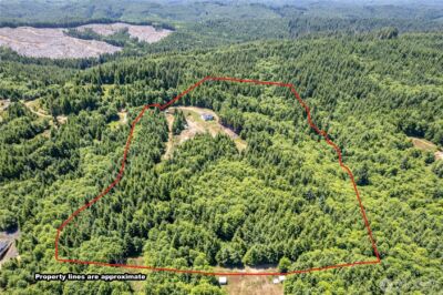 327 Parpala Road , Naselle, WA 98638 - Photo 33