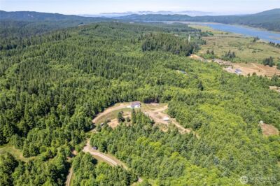 327 Parpala Road , Naselle, WA 98638 - Photo 34