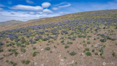 0 Lot 1 Burch Mountain Road , Wenatchee, WA 98801 - Photo 11