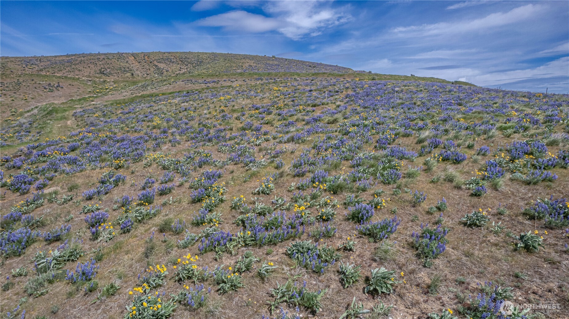 0 Lot 1 Burch Mountain Road , Wenatchee, WA 98801